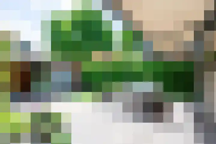Kievitsbloem 12 Breukelen thumbnail 41