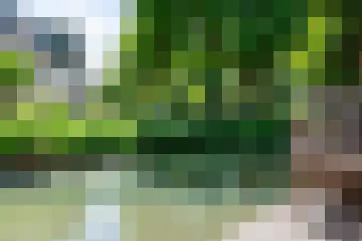 Kievitsbloem 12 Breukelen thumbnail 47