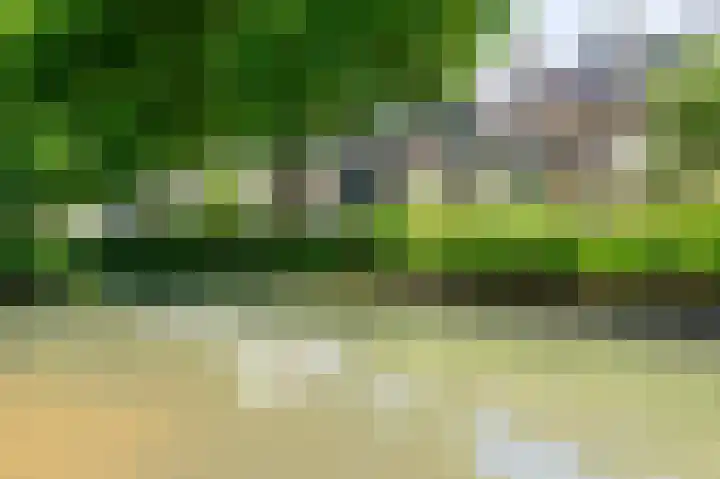 Kievitsbloem 12 Breukelen thumbnail 48