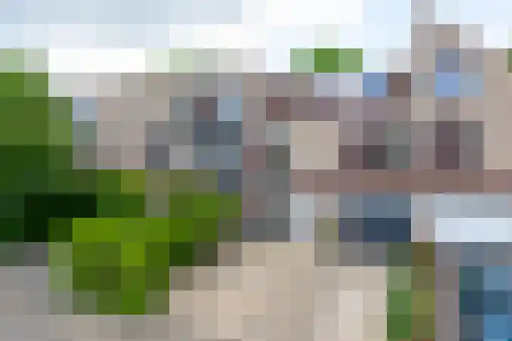 Kievitsbloem 12 Breukelen thumbnail 49