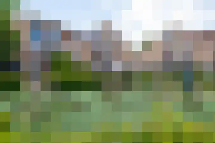 Kievitsbloem 12 Breukelen thumbnail 51