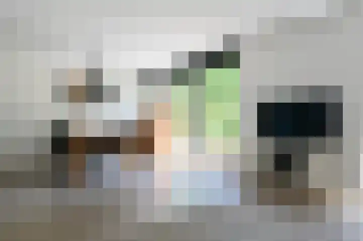 Kievitsbloem 12 Breukelen thumbnail 9