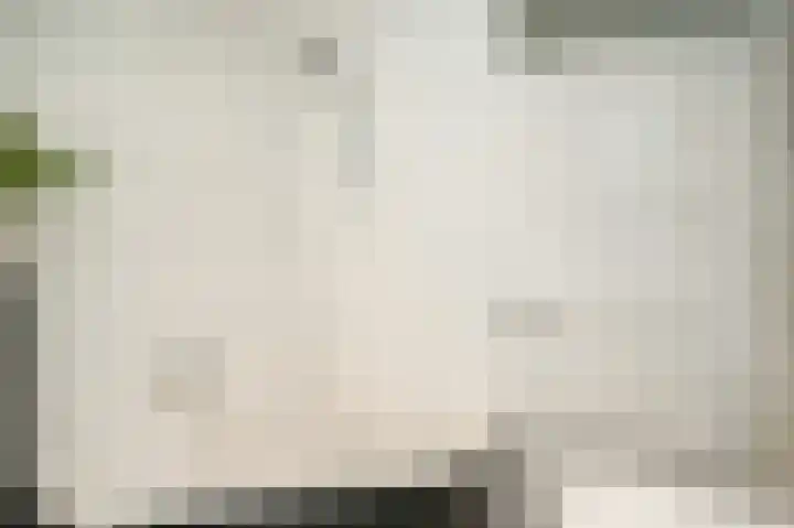 Kievitsbloem 13 Odijk thumbnail 21