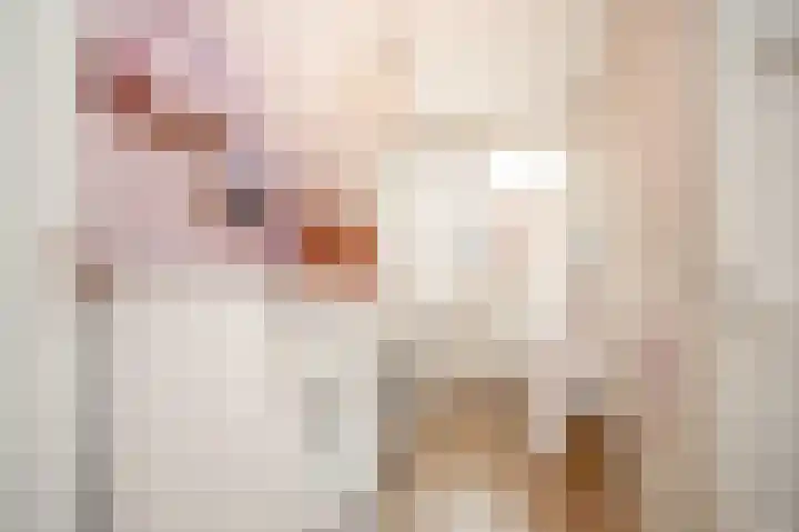 Kievitsbloem 13 Odijk thumbnail 25