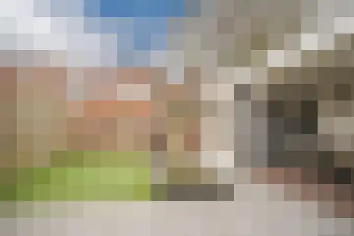 Kievitsbloem 13 Odijk thumbnail 30
