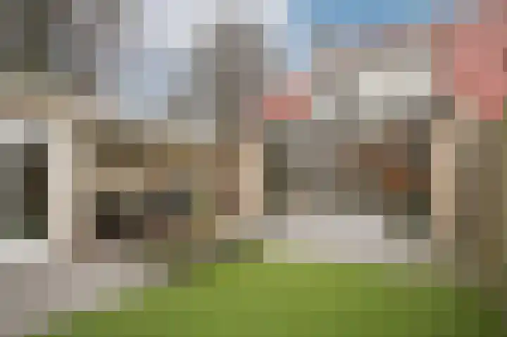 Kievitsbloem 13 Odijk thumbnail 31