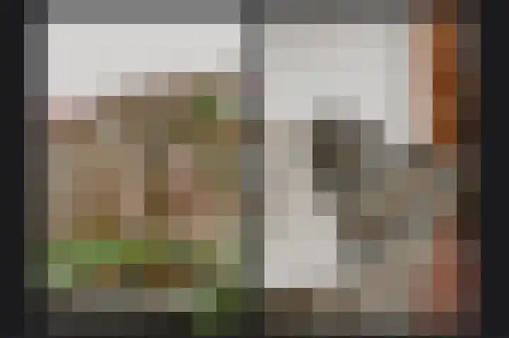 Kievitsbloem 13 Odijk thumbnail 32