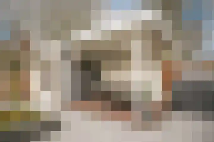 Kievitsbloem 13 Odijk thumbnail 33
