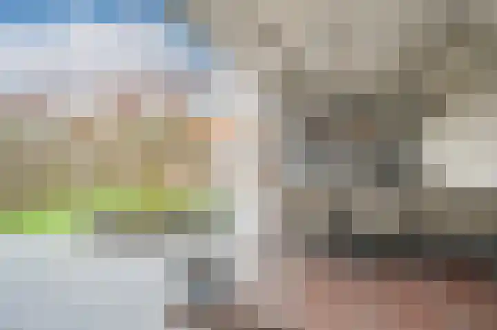 Kievitsbloem 13 Odijk thumbnail 34
