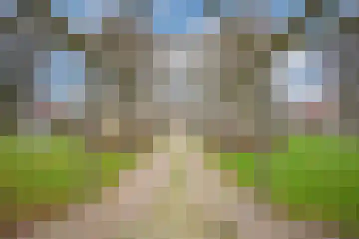 Kievitsbloem 13 Odijk thumbnail 37