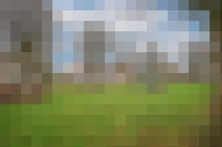 Kievitsbloem 13 Odijk thumbnail 38