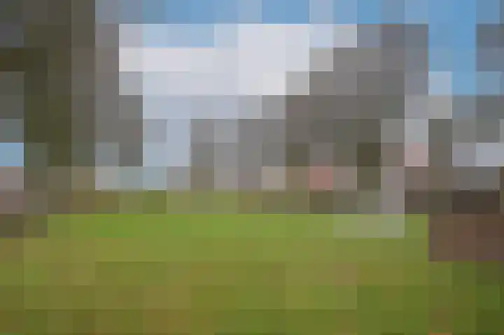 Kievitsbloem 13 Odijk thumbnail 39