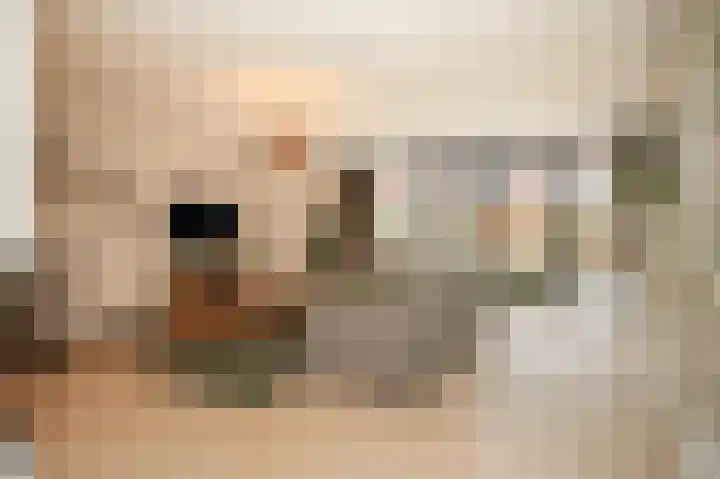 Kievitsbloem 13 Odijk thumbnail 5