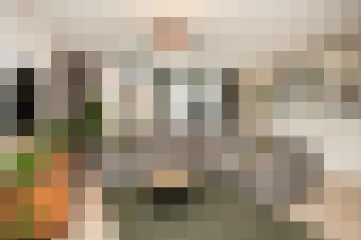 Kievitsbloem 13 Odijk thumbnail 6
