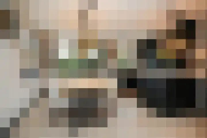 Kievitsbloem 13 Odijk thumbnail 9