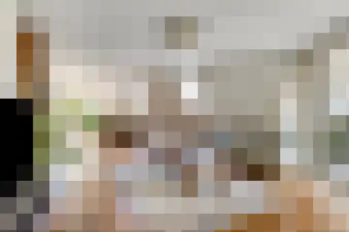 Kievitsbloem 2 Heino thumbnail 10