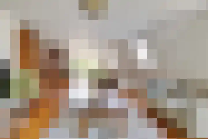 Kievitsbloem 2 Heino thumbnail 11