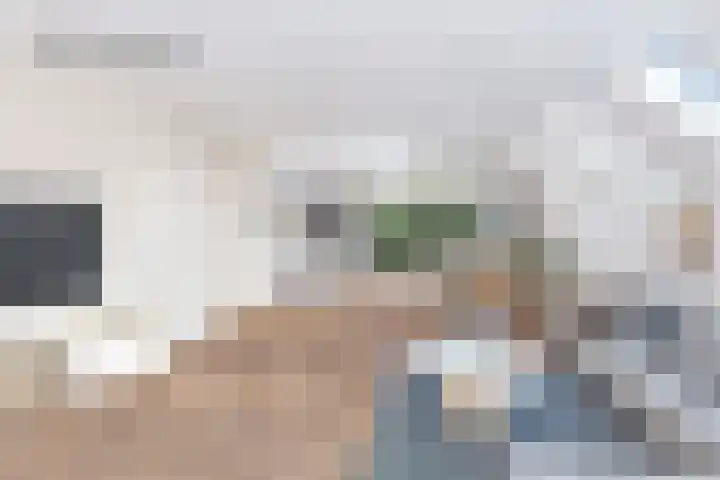 Kievitsbloem 2 Heino thumbnail 12