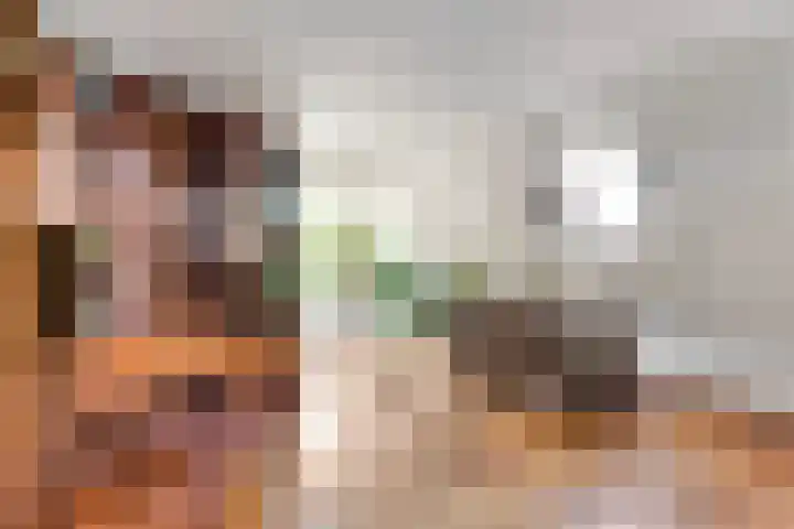 Kievitsbloem 2 Heino thumbnail 14