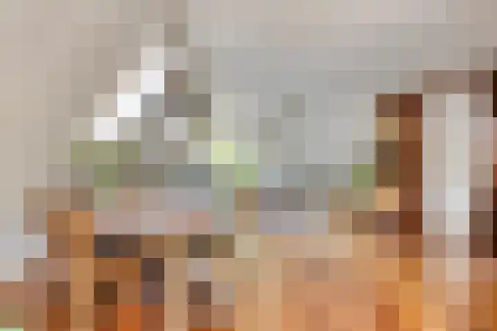 Kievitsbloem 2 Heino thumbnail 16