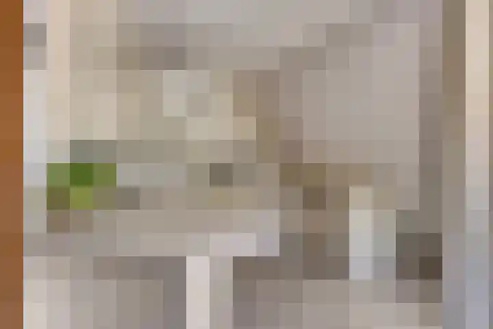 Kievitsbloem 2 Heino thumbnail 17