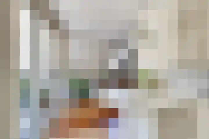 Kievitsbloem 2 Heino thumbnail 19