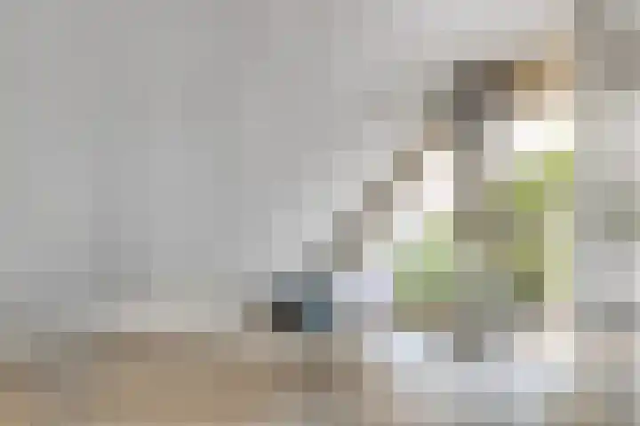 Kievitsbloem 2 Heino thumbnail 20
