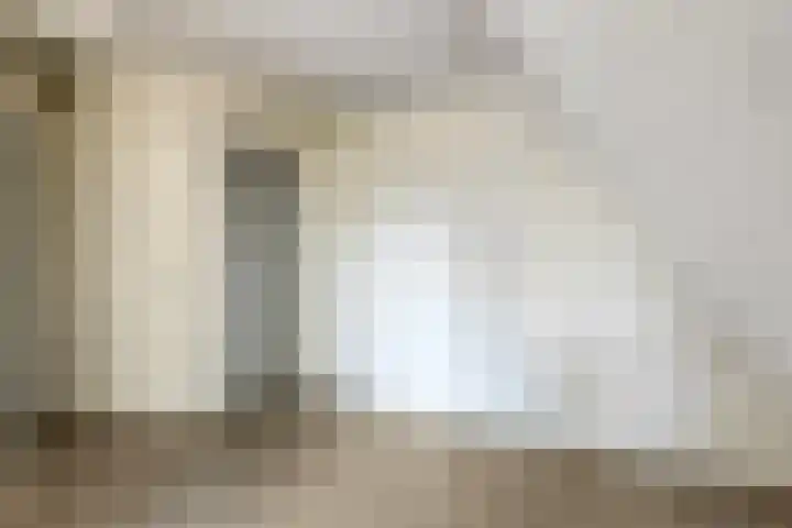 Kievitsbloem 2 Heino thumbnail 21