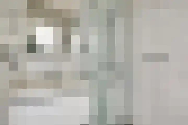 Kievitsbloem 2 Heino thumbnail 22