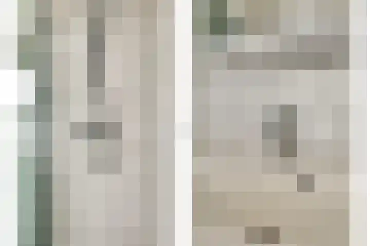 Kievitsbloem 2 Heino thumbnail 23