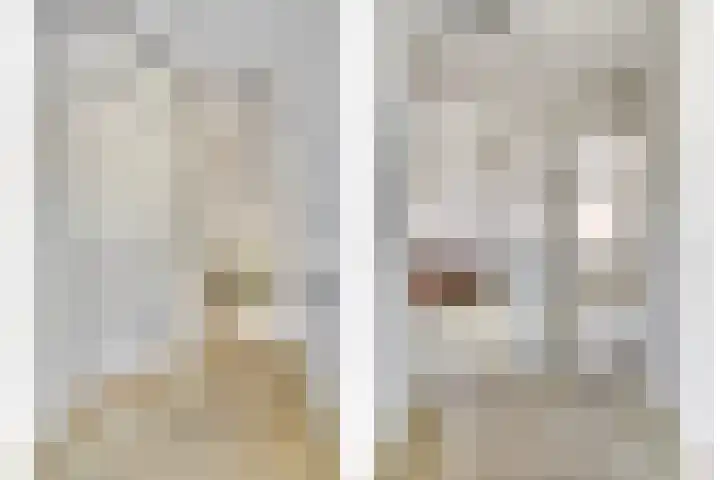 Kievitsbloem 2 Heino thumbnail 24