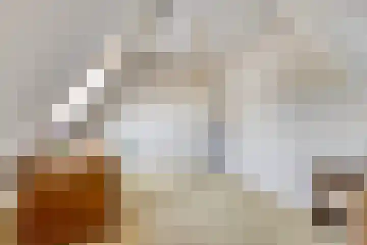 Kievitsbloem 2 Heino thumbnail 27
