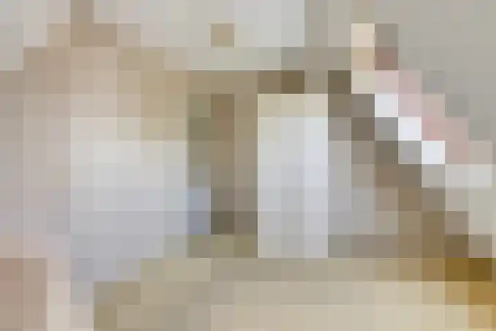 Kievitsbloem 2 Heino thumbnail 28