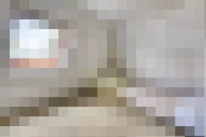 Kievitsbloem 2 Heino thumbnail 29