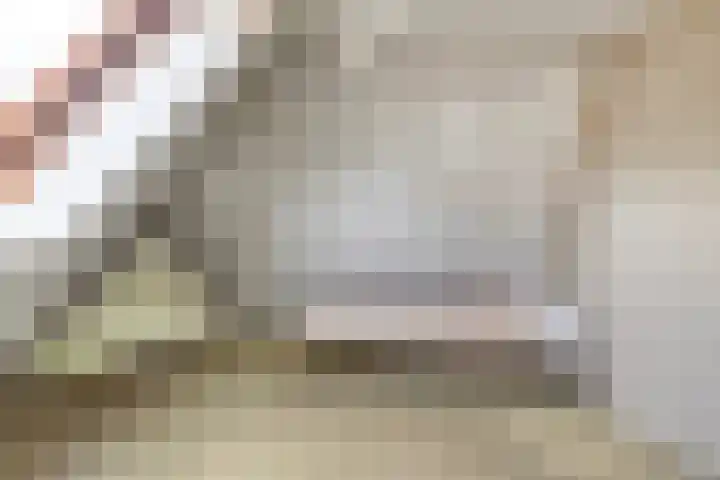 Kievitsbloem 2 Heino thumbnail 30