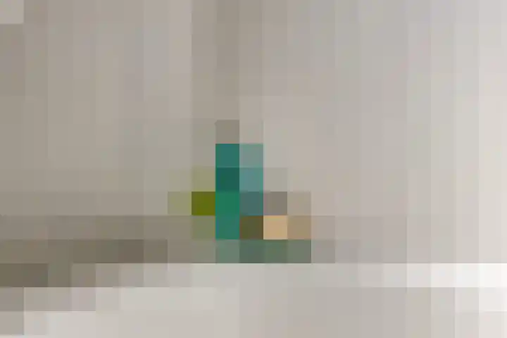 Kievitsbloem 2 Heino thumbnail 32