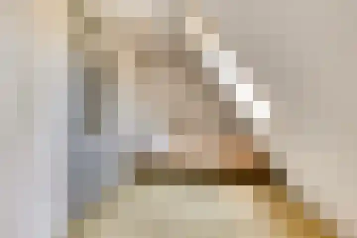 Kievitsbloem 2 Heino thumbnail 33