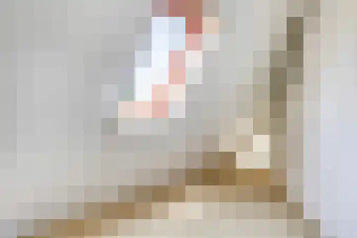 Kievitsbloem 2 Heino thumbnail 34