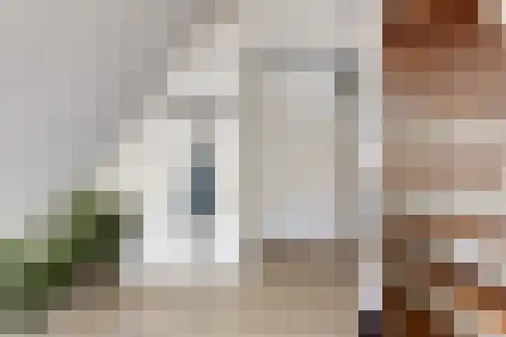 Kievitsbloem 2 Heino thumbnail 35