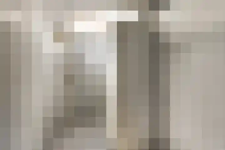 Kievitsbloem 2 Heino thumbnail 36