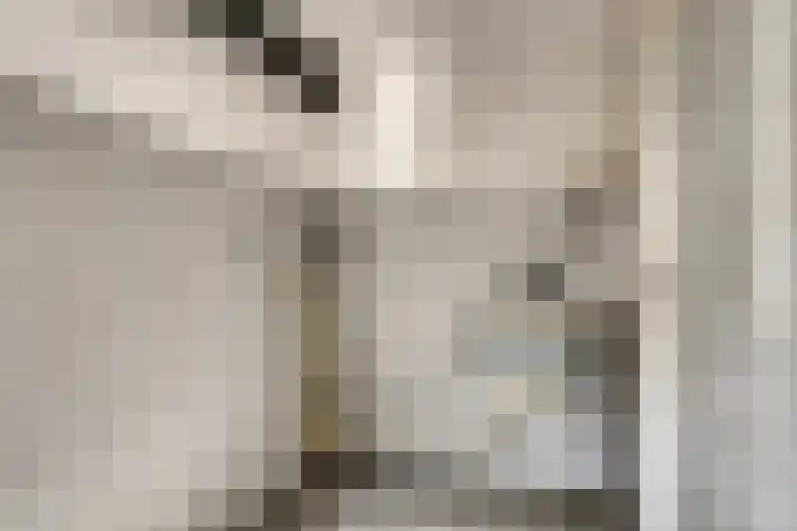 Kievitsbloem 2 Heino thumbnail 37