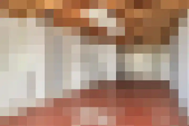 Kievitsbloem 2 Heino thumbnail 39