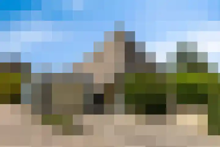 Kievitsbloem 2 Heino thumbnail 4