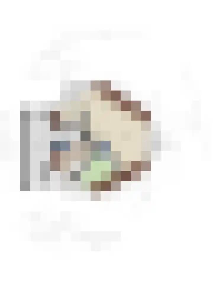 Kievitsbloem 2 Heino thumbnail 46