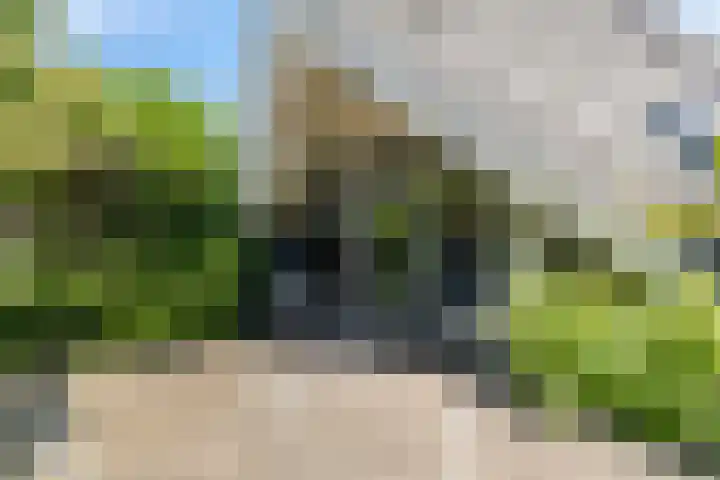 Kievitsbloem 2 Heino thumbnail 50