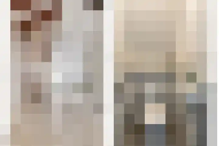 Kievitsbloem 2 Heino thumbnail 6