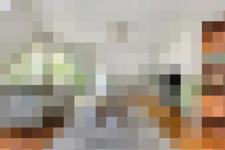 Kievitsbloem 2 Heino thumbnail 7