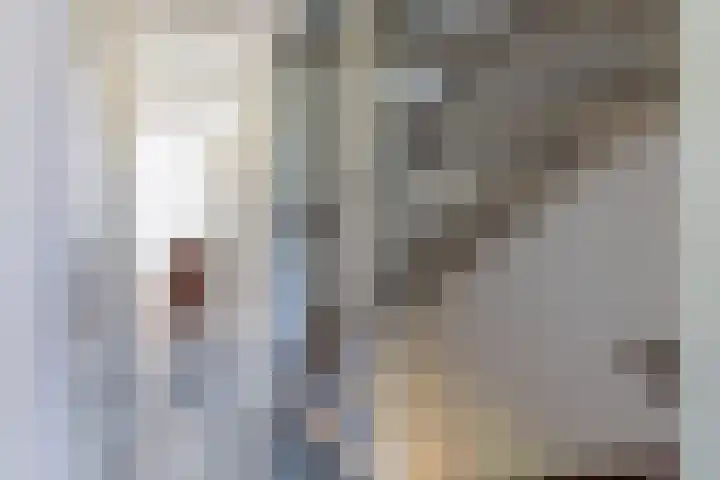 Kievitsbloem 21 Breukelen thumbnail 14