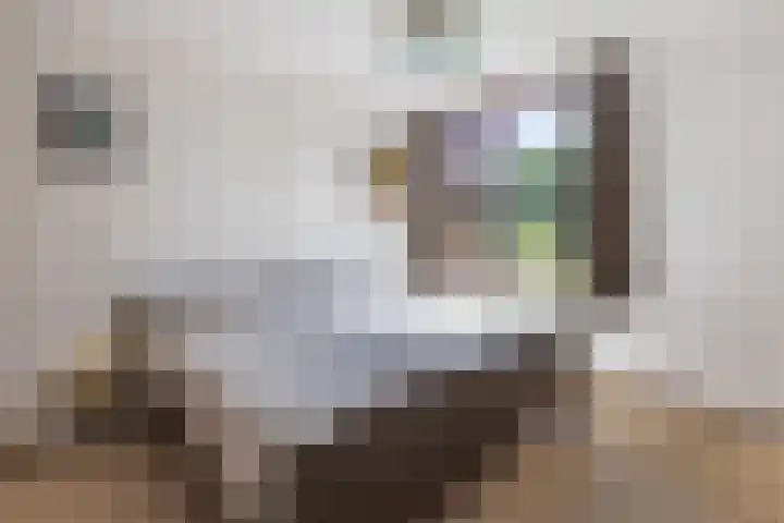 Kievitsbloem 21 Breukelen thumbnail 18