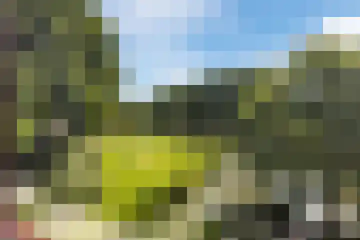 Kievitsbloem 21 Breukelen thumbnail 19